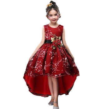 Toddler Uzun Kabarık Noel Kuyruk Elbiseler Çiçek Kız Düğün Abiye Kızlar İçin Dantel Zarif Nakış Prenses Elbiseler